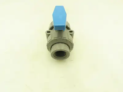 Plast-o-matic MBV100EPT-CP True Blue 1" NPT Threaded True Union Ball Valve EPDM