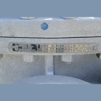 DSI 6 in. Gate Valves