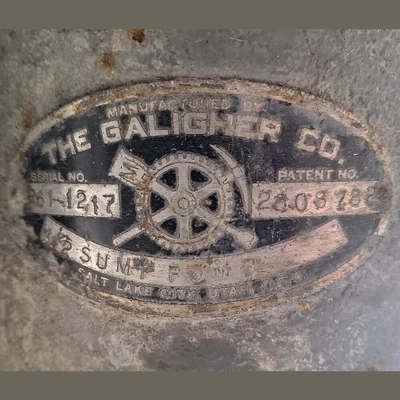 Galigher 1.5in Sump Pump
