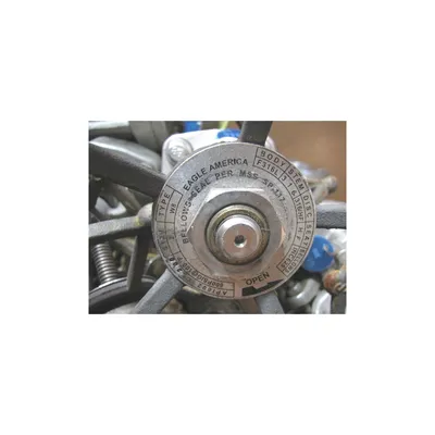EAGLE AMERICA 2" FORGED STAINLESS STEEL GATE VALVE - W8 SERIES