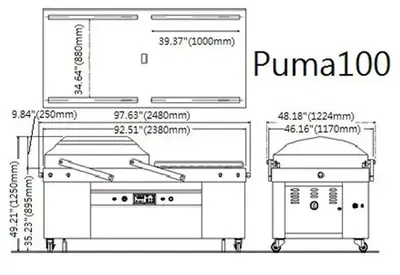 RAM Model 100 Puma Jumbo Double Chamber Vacuum Packaging Machine