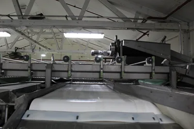 Roll Sizer W/Infeed Belt Conveyor