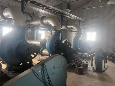 USED GOULDS 3175