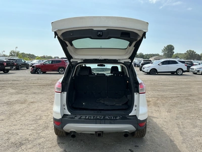 Used 2014 FORD ESCAPE SUVs Michigan US | Miedema Asset Management Group #1414602