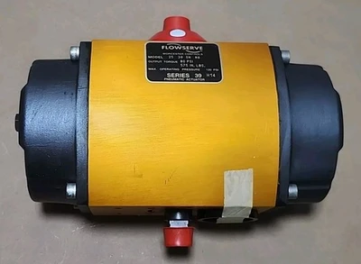 NEW Flowserve 25 39SN