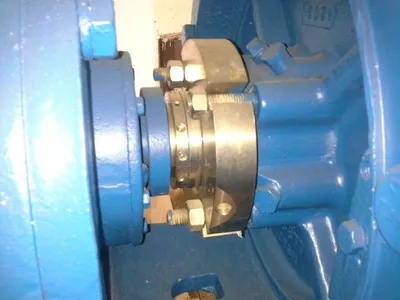 USED Goulds 3175
