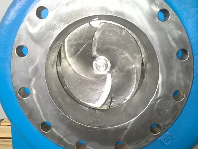 USED Goulds 3175