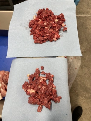 MHS Model 850-90 Series Industrial Meat Dicers