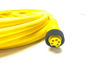 USED LUMBERG DOUBLE-ENDED CABLE CORDSET 500003197