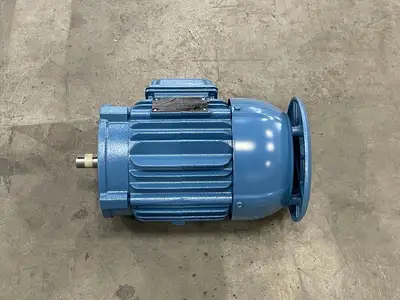 1.5 hp, 230/400 volts, 2880 rpm, 90S Electric Motor