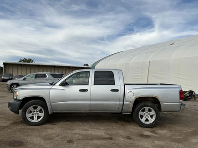 Used 2008 DODGE DAKOTA Pickup Trucks Michigan US | Miedema Asset Management Group #1461324