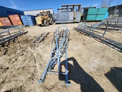 18.5ft. Steel Caged Ladder