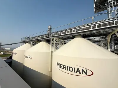 Used Complete Grain Receiving System