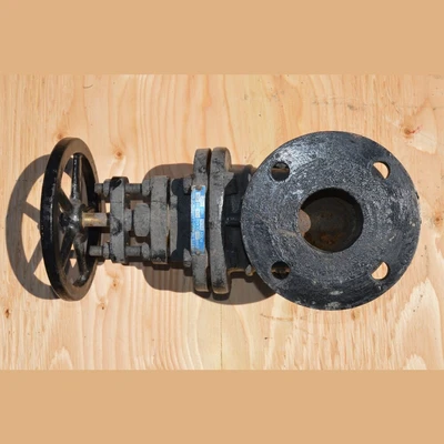 Watts Recco Lawrence 2.5 in. Gate Valve