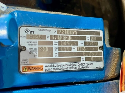 USED Goulds 3196STi