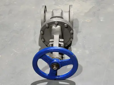 Used DSI VALVES API 603 Valves/Fittings British Columbia CA | Lenmark #914829
