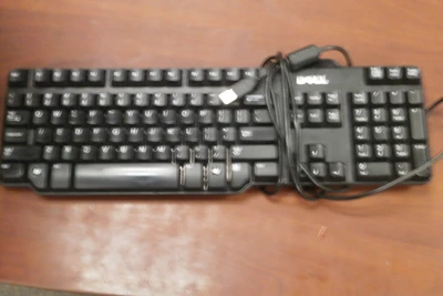 USED Dell L100