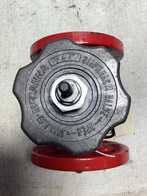 Hills McCanna 2″ Flanged Diaphragm Valve; 2509