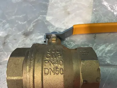 Used PARKER CW617N Pump & Valve Parts Ohio US | HGR 24 #1358777