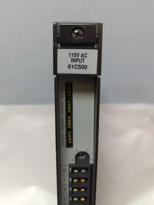 Used RELIANCE ELECTRIC 61C500 Input / Output Modules | Surplus Asset Holdings #1205873