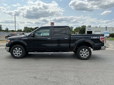 Used 2013 FORD F150 Pickup Trucks Michigan US | Miedema Asset Management Group #1423579