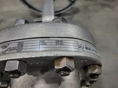 10" Class 150 Gate Valve B16.34