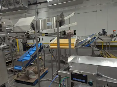 Andgar Tray Washer with Infeed & Outfeed Conveyors