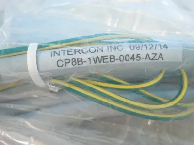 NEW INTERCON INC CP8B1WEB0045AZA