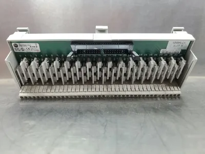Allen Bradley 1492-IFM40F-F24-2 Ser. A 10-30V AC/DC Interface Module. 3D-7
