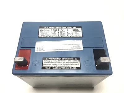 FCI 100-2610A 31 AH Lead Acid Battery Sealed Rechargable