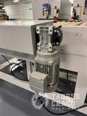 Used 2019 E-CHAIN ECT-48S ANGULAR DOUBLE END-TENONER LINE Woodworking Tenoners Ontario CA | Taurus Craco Machinery Inc #1314188