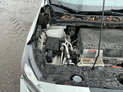 Used 2019 NISSAN LEAF SUVs Michigan US | Miedema Asset Management Group #1461479