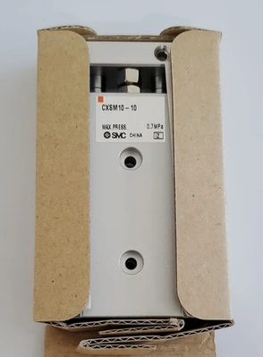 NEW SMC CXSM10-10