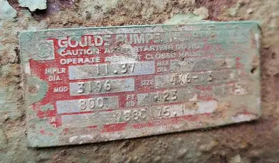 USED GOULDS 3196