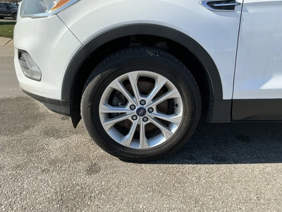 Used 2017 FORD ESCAPE Utility Vehicles Michigan US | Miedema Asset Management Group #1732721