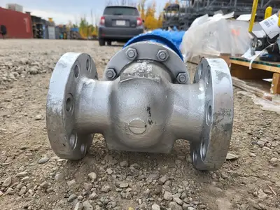 3" Class 300 Gate Valve API600/624