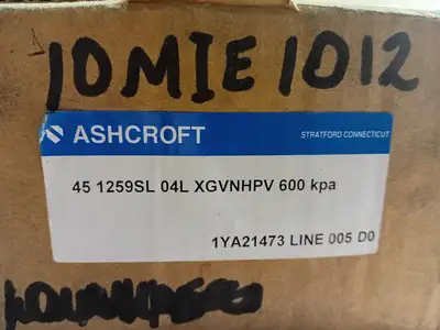 NEW ASHCROFT 45 1259SL 04L
