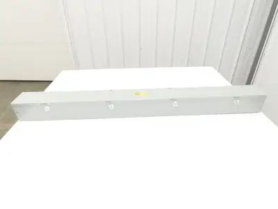 Hoffman F44G48 4"x 4" Wireway Straight 60" Section Lay-in Type 1