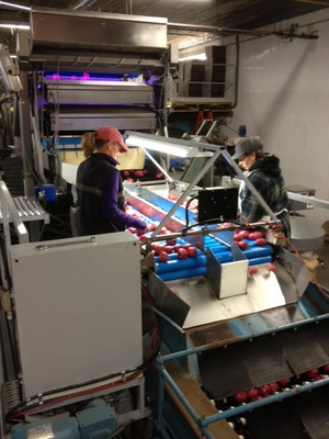 New | in-Stock _UNKNOWN_ GT6010 Inspection Machines Idaho US | Tri-Steel Manufacturing #1524060