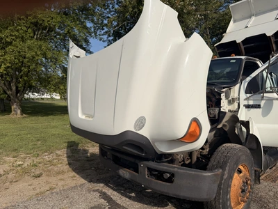 Used 2009 FORD F-750 4X2 Dump trucks Michigan US | Miedema Asset Management Group #1437082