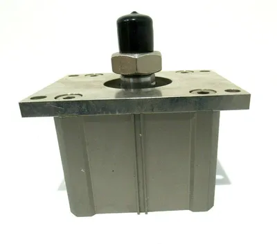NEW SMC CDQ2F 100-20DM CYLINDER CDQ2F10020DM