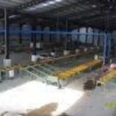 New | in-Stock _UNKNOWN_ _UNKNOWN_ Sawmill Material Handling Ontario CA | Moon Machinery #1764057