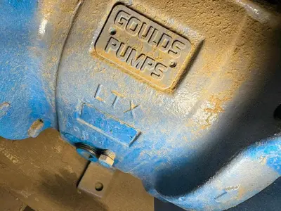 USED GOULDS 3196