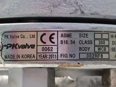 NEW PK VALVE 302RF8