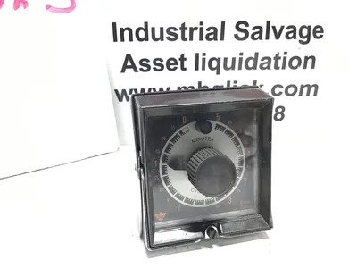 Eagle Signal Cycl-Flex Analog Timer 0 to 45 Minutes