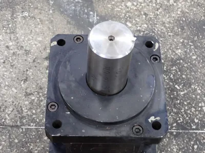 Bayside Gear Head