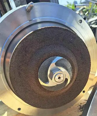 Mixer, High Shear, 15 HP, Stainless Steel, In-line #S745044