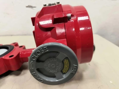 Bray 70-0060-113F3-536/A Butterfly Valves | Fram Fram LLC (11)