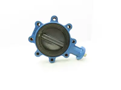 Durco 6" Lug Style Butterfly Valve Lined Disc 150psi DN150  *Cracked Seal*