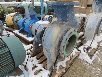 USED Goulds 3175